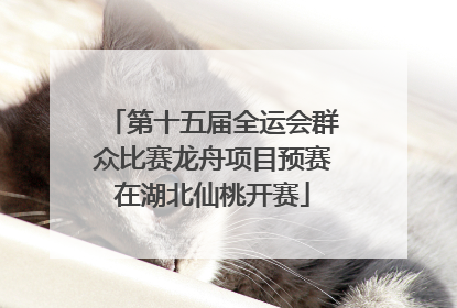 第十五届全运会群众比赛龙舟项目预赛在湖北仙桃开赛
